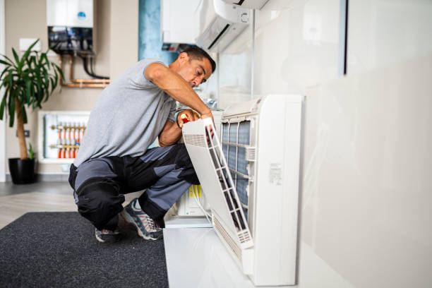 Best Air Duct Mold Removal  in Lampeter, PA